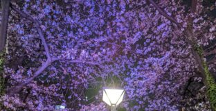 忙しくても、おしゃれをあきらめない方法。そしてその先に得られるものとは・・・?