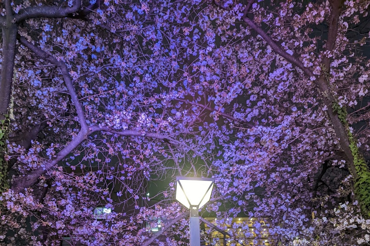忙しくても、おしゃれをあきらめない方法。そしてその先に得られるものとは・・・?